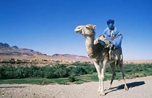 Berber Gallery: Morocco - Berber man on camel