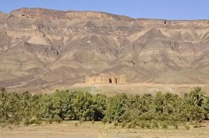 Forts Gallery: Morocco - The famous Kasbah (= fortress) Tamnougalt