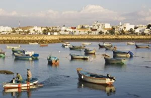 Images Dated 5th February 2005: Morocco - Fishing boats in the harbour of the seaside