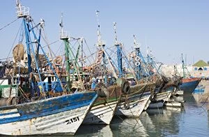 Images Dated 29th January 2005: Morocco - The fishing port of Essaouira, which