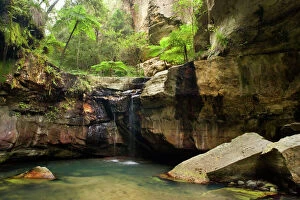 Images Dated 23rd September 2008: Moss Garden - idyllic oasis within Carnarvon Gorge, located in Queensland's arid outback