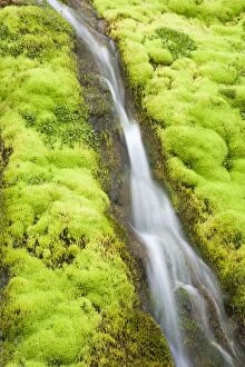 Images Dated 12th June 2014: Mossy Waterfall