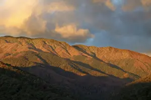 Shadows Prints: Mount Bogong JLR 51 Bogong high plains