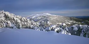 Skiing Prints: Mount Buller and Buller Village Ski Resort JLR 9 North East Victoria High Country - Australia © Jean-Marc La-Roque