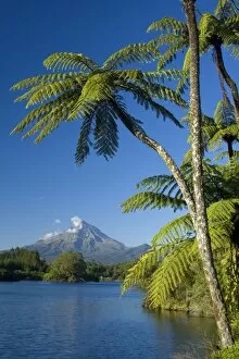 Images Dated 5th March 2008: Mount Egmont - lake, tree ferns and perfectly cone-shaped volcanoe Mt Egmont also called Mt Taranaki