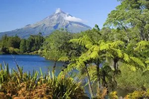 Mount Egmont lake, tree ferns and perfectly cone-shaped volcanoe Mt Egmont also called Mt Taranaki Taranaki, North Island, New Zealand