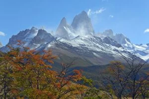 Beeches Gallery: Mount Fitz Roy - Cerro Fitz Roy and colourful Southern