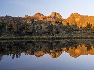 Mount Kenya National Park (a UNESCO World)