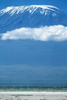 Great Rift Valley Prints: Mount Kilimanjaro FL 2697 M Amboseli National Park