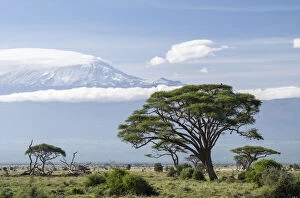 Amboseli Gallery: Mount Kilimanjaro seen from Amboseli National