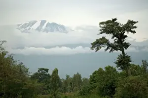 Peaks Prints: Mount Kilimanjaro - Snow melting on summit - Tanzania - Africa
