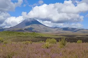 Mount Ngauruhoe - perfectly shaped volcanoe Mt Ngauruhoe and surrounding plains with blooming heather in autumn