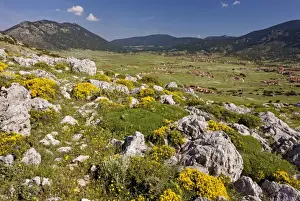 Mount Parnassus: view across the plateau showing new development; on the edge of Mount Parnassus National Park, Greece