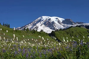 Alpine Collection: Mount Rainier and alpine meadows Paradise, Mount Rainier NP, Washington State, USA LA001299