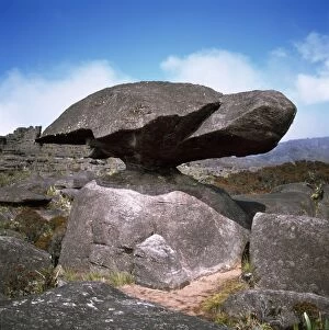 Images Dated 13th October 2009: Mount Roraima summit: turtle rock, Estado Bolivar, Venezuela, South America