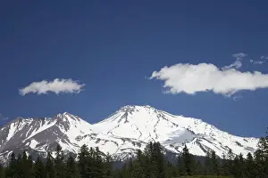 Volcanoe Prints: Mount Shasta (14, 162 feet) California, USA LA000805