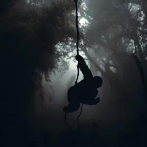 Monkey Prints: Mountain Gorilla