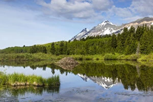 Mountain peaks reflect into a beaver pond