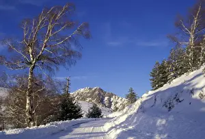 Corsica Prints: Mountain road in snow - Vergio's Pass - Corsica