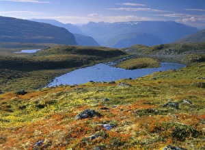 Images Dated 26th February 2008: Mountain scenery - colourful autumn tundra with lakes and mountain peaks along Aurlandsvegen