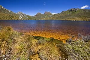 Cradle Gallery: Mountain scenery - Dove Lake in front of massive