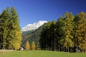 Images Dated 29th October 2005: Mountain scenery fall coloured larches and mountains Mieminger Plateau, Alps, Austria
