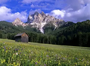 Dolomite Prints: Mountain scenery with flowering meadow and hut near Praga di fuori Nationalpark Fennes-Prags