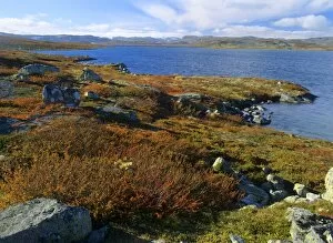 Mountain scenery - lake and mountains with autumn coloured tundra vegetation