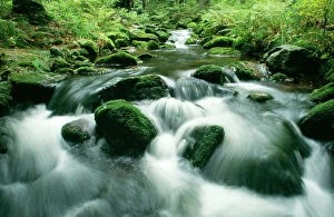 Tranquillity Collection: Mountain Stream Bergbach, Kleine Ohe, National Park Bavarian Forest, Germany