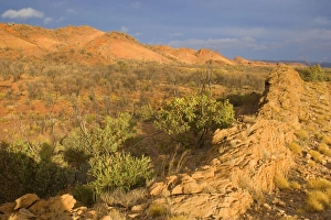 Images Dated 13th June 2008: Mountainscape - bush and grass-covered hills and mountain ridge of the West MacDonnell Range at