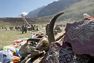 Images Dated 11th June 2006: Mt Kailash Yak horn and mani stones Tibet