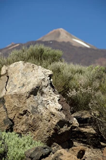 Images Dated 22nd July 2010: Mt. Teide, Las Canadas National Park, Tenerife