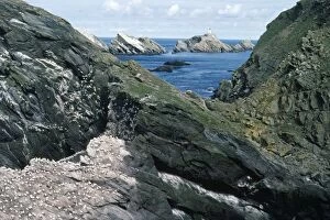 Images Dated 9th February 2007: Muckle Flugga Island - & cliffs Shetland