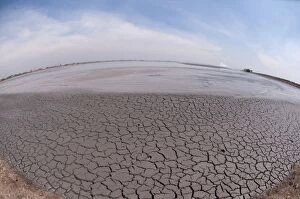 Mud Lake environmental disaster which developed