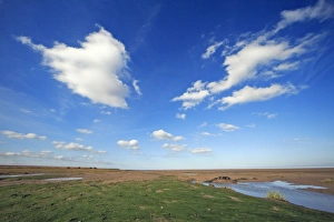 Images Dated 3rd October 2007: Mudflats - at low tide and good weather clouds
