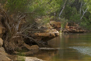 Murchison River flowing through red rocks