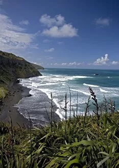 Images Dated 9th January 2005: Muriwai beach, North Island, New Zealand, with New Zealand flax in foreground