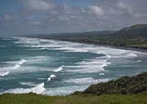 Waves Gallery: Muriwai beach, North Island, New Zealand. Wild area; good surfing beach