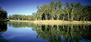 Murray River - near Barmah, Victoria, Australia JLR07720
