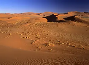Thirst Prints: Namib desert sea of red dunes at Sossusvlei Namib Naukluft Park, Namibia, Africa