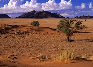 SAS-313 Namib desert - view from Elim dune towards the Naukluft Mountains Namib Naukluft Park, Namibia, Africa Steffen & Alexandra Sailer Please note that prints are for personal display purposes only and may not be reproduced in any way. : Images Dated 8th March 2007: Namib desert view from Elim dune towards the Naukluft Mountains Namib Naukluft Park, Namibia, Africa