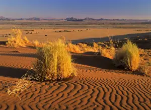 Sesriem Prints: Namib desert view from Elim dune towards Sesriem canyon Namib Naukluft Park