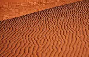 Dune Prints: Namib - Naukluft Park; structural forms in the sand of the deser