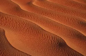 Namib-Naukluft Park - structural forms in the sand of the desert