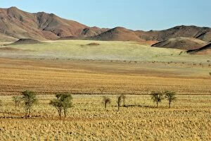 Images Dated 26th April 2005: Namib Rand Mountains and savanna Namib Rand Nature Reserve, Namibia, Africa