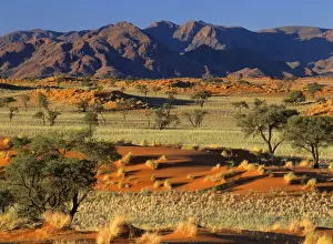 Namib Rand view over red dunes and savanna to the Naukluft mountains Namib Rand Nature Reserve, Namibia, Africa
