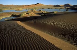 Sossusvlei Gallery: Namibia - The flooded Sossusvlei with its green