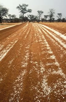 Camelthorn Gallery: Namibia - hailstones on a road in the Kalahari