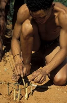 Namibia - Kung Bushman / San prepares a snare for