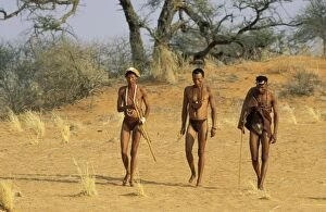 Bushmen Gallery: Namibia - Kung Bushmen / San in the Kalahari Desert